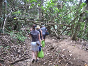 Hike through the rainforest