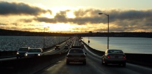 p1020339_edited-1 p1020339_edited-1