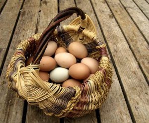basket-of-eggs