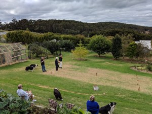 Maker:S,Date:2017-8-31,Ver:6,Lens:Kan03,Act:Lar02,E-Y