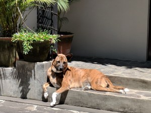 Maker:L,Date:2017-9-28,Ver:5,Lens:Kan03,Act:Kan02,E-Y