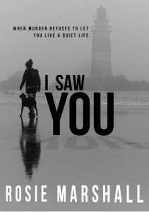 Cover of I saw You