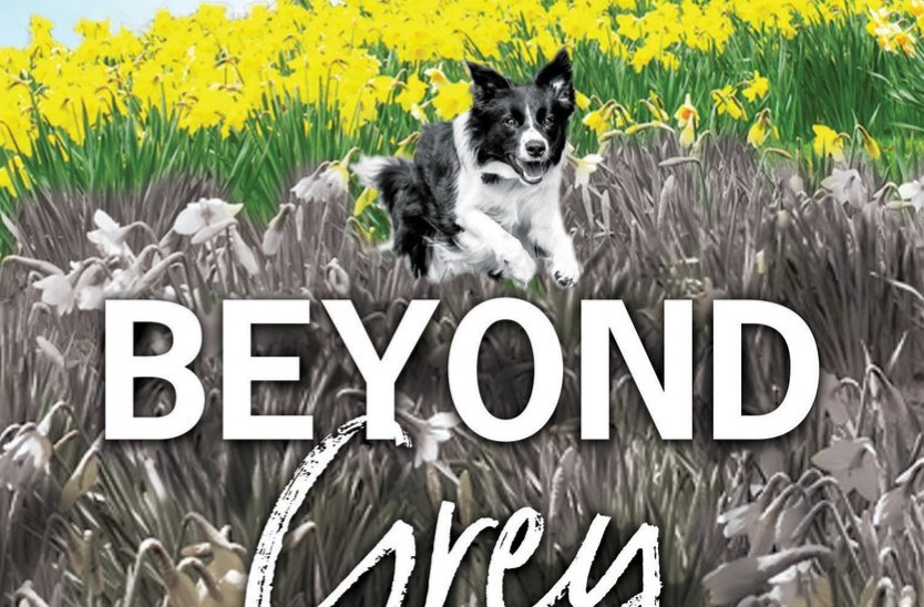 Catching up with Author Ella&nbsp;Cook