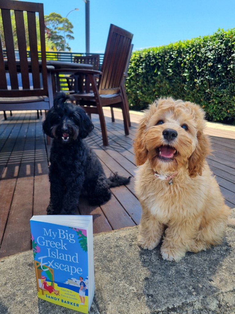 2 dogs with the book 